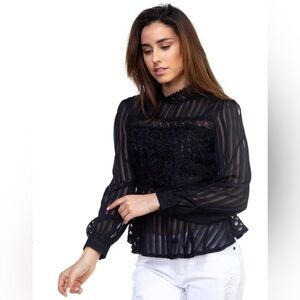 Haute Monde Shadow Stripe Sheer Embroidered Shirt Black Goth Witch Dark Academia